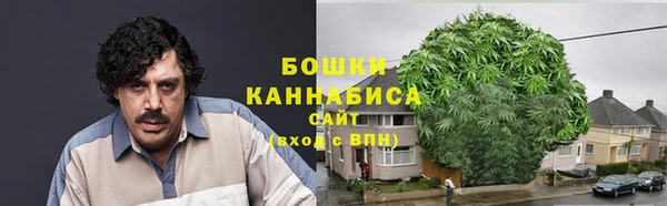 jwh Белокуриха