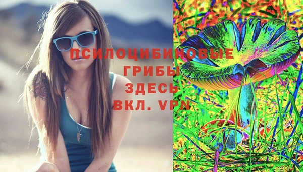 jwh Белокуриха