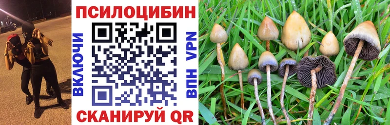 маркетплейс наркотические препараты Калининград Галлюциногенные грибы мицелий что такое наркотик